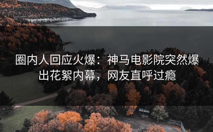 圈内人回应火爆：神马电影院突然爆出花絮内幕，网友直呼过瘾