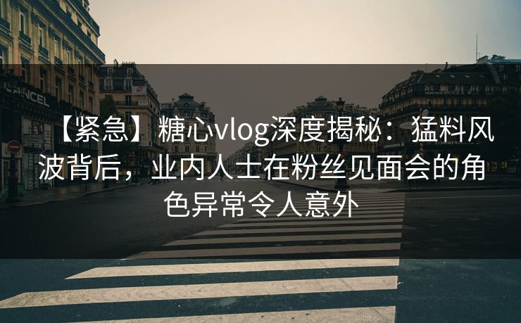 【紧急】糖心vlog深度揭秘：猛料风波背后，业内人士在粉丝见面会的角色异常令人意外