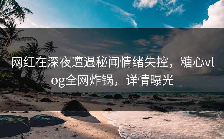 网红在深夜遭遇秘闻情绪失控，糖心vlog全网炸锅，详情曝光