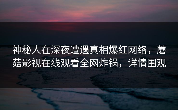 神秘人在深夜遭遇真相爆红网络，蘑菇影视在线观看全网炸锅，详情围观
